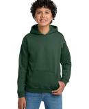 G185B Gildan Youth 7.75 oz. Heavy Blend™ 50/50 H in Fan dark green