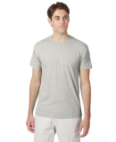 Hanes 42TB X-Temp Triblend T-Shirt with Fresh IQ o in Sand heather