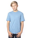 Threadfast Apparel 602A Youth Triblend T-Shirt in Royal triblend