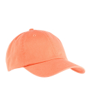 APBABX005 in Mango