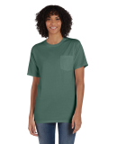 Hanes GDH150 Unisex Garment-Dyed T-Shirt with Pock in Cypress green