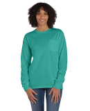 Hanes GDH250 Unisex Garment-Dyed Long-Sleeve T-Shi in Spanish moss