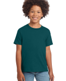 Gildan 64000B Youth Softstyle T-Shirt in Fan marine green