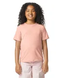 Gildan 67000B Youth Softstyle CVC T-Shirt in Dusty rose