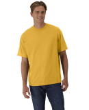 Hanes 5180R Unisex Retro Beefy T-Shirt in Royal gold