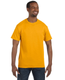 Jerzees 29M Adult DRI-POWER® ACTIVE T-Shirt in Gold