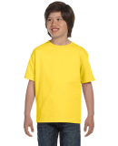 Gildan 8000B Youth DryBlend® T-Shirt in Daisy
