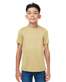 Team 365 TT15Y Youth Zone Performance Mesh T-Shirt in Sport vegas gold
