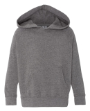 Independent Trading Company PRM10TSB Toddler Speci in Nickel