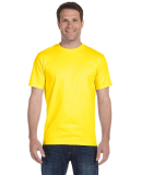 G800 Gildan Ultra Blend 50/50 T-shirt in Daisy
