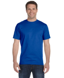 G800 Gildan Ultra Blend 50/50 T-shirt in Royal