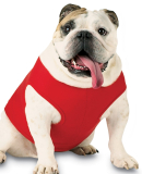 3902 Doggie Skins Baby Rib Tank in Red