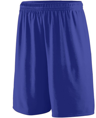 1420 Training Shorts in Purple