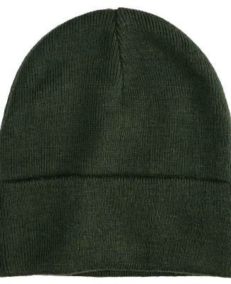 econscious EC7045 Base Camp Beanie in Alpine