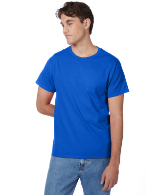 Hanes 5250 Unisex Authentic T-Shirt in Deep royal
