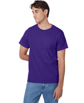 Hanes 5250 Unisex Authentic T-Shirt in Purple