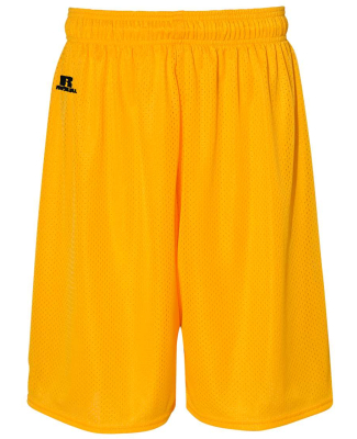 Russell Athletic 659AFM Men's 9" Dri-Power® Trico in Gold