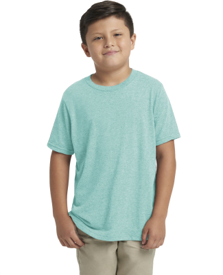 Next Level 6310 Boy's Tri-Blend Crew in Tahiti blue