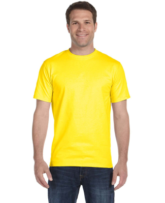 G800 Gildan Ultra Blend 50/50 T-shirt in Daisy