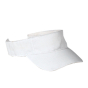 Visors