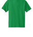 Next Level 3312 Boys CVC Crew Tee in Kelly green