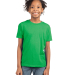 Next Level 3312 Boys CVC Crew Tee in Kelly green