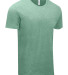 102A Threadfast Apparel Unisex Triblend Short-Slee in Green triblend