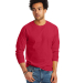 5586 Hanes® Long Sleeve Tagless 6.1 T-shirt - 558 in Deep red