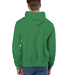 S1051 Champion Logo Reverse Weave Hoodie in Kelly green