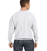 S1049 Champion Logo Reverse Weave Pullover in Silver grey