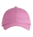 Big Accessories BX001Y Youth Youth 6-Panel Brushed in Pink