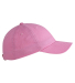 Big Accessories BX001Y Youth Youth 6-Panel Brushed in Pink