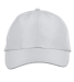 Ash City - Core 365 CE001 Adult Pitch Performance  in Platinum