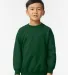 1800B Gildan Youth 7.75 oz. Heavy Blend™ 50/50 Fleece Crew G180B Catalog