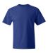 Hanes 518T Beefy-T Tall T-Shirt in Deep royal