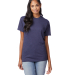 Hanes 42TB X-Temp Triblend T-Shirt with Fresh IQ o in Slate triblend