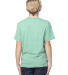 Threadfast Apparel 602A Youth Triblend T-Shirt in Green triblend
