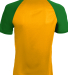 Augusta Sportswear 1509 Youth Wicking Short Sleeve in Gold/ dark green