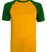 Augusta Sportswear 1509 Youth Wicking Short Sleeve in Gold/ dark green