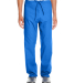 Harriton M898 Adult Restore 4.9 oz. Scrub Bottom in True royal