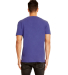 Next Level Apparel 4210 Unisex Eco Performance T-S in Heather sapphire