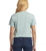 Next Level Apparel 5080 Festival Women's Cali Crop in Stonewash green