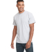 Next Level 3600 T-Shirt in Heather gray