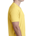 Next Level 6240 Men's CVC V in Banana cream