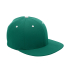 Team 365 ATB101 by Flexfit Adult Pro-Formance Cont in Sport forest/ white