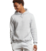 Russell Athletic 695HBM Unisex Dri-Power® Hooded  in Ash