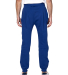 Threadfast Apparel 320P Unisex Ultimate Fleece Pan in Navy