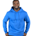 Threadfast Apparel 320H Unisex Ultimate Fleece Pul in Royal