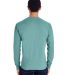 Hanes GDH250 Unisex Garment-Dyed Long-Sleeve T-Shi in Spanish moss