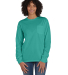 Hanes GDH250 Unisex Garment-Dyed Long-Sleeve T-Shi in Spanish moss